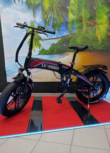 Bici ELETTRICA  fat  BIKE LEVRIERO Luxury  Pieghevole 250w 36V